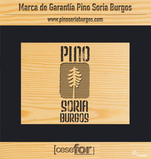 Pino Soria Burgos
